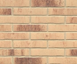 "Feldhaus Klinker" klinkerinės plytelės R742